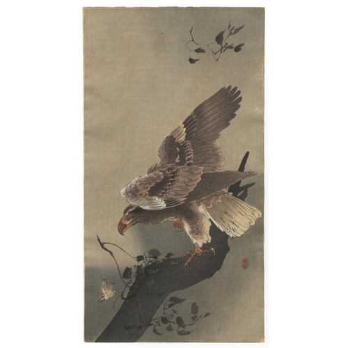 204 - Artist: Koson Ohara (1877-1945)
Title: Eagle with Outspread Wings
Date: Early 20th century
Size: 18.... 