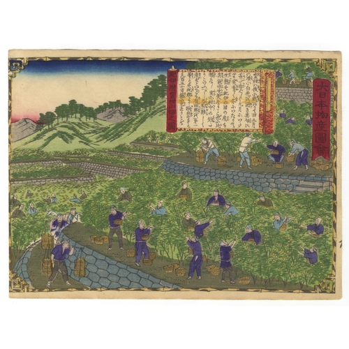 295 - Set of 2 prints:
Artist: Hiroshige III Utagawa (1842-1894)
Title: Kii Province, Mandarin Orange Farm... 