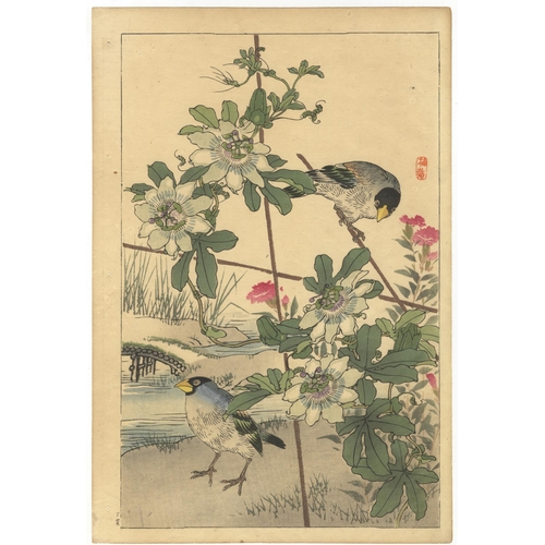 199 - Artist: Kono Bairei (1844-1894)
Title: Japanese Grosbeak and Passion Flower
Series title: Four Seaso... 