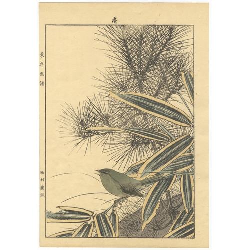 202 - Artist: Keinen Imao (1845-1924)
Title: Tit and Pine
Series title: Keinen's Album of the Birds and Fl... 