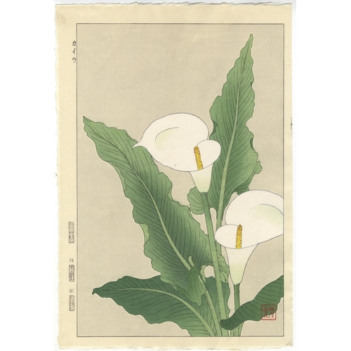 204 - Artist: Shodo Kawarazaki (1889-1973)
Title: Calla Lillies
Publisher: Unsodo
Date: mid 20th century
S... 