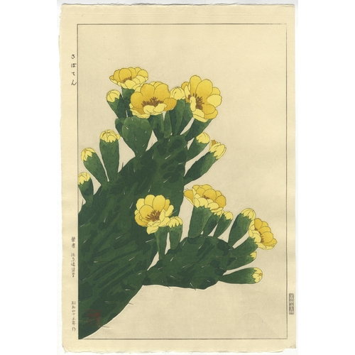 205 - Artist: Shodo Kawarazaki (1889-1973)
Title: Cactus
Publisher: Unsodo
Date: 1968
Size: 40.2 x 27.3 cm... 