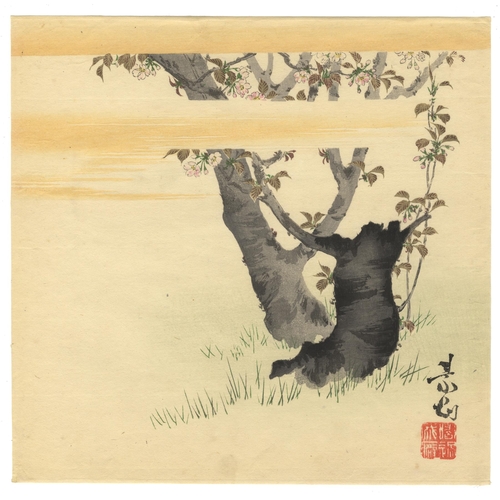 212 - Artists: Zeshin Shibata (1807-1891)
Title: Cherry Blossom
Publisher: Not Sealed
Date: c.1880s
Size: ... 