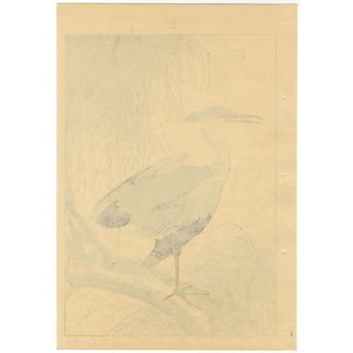 27 - Set of 2 prints:
Artist: Keinen Imao (1845-1924)
Title: Heron / Sensitive Plant and Blue Rock Thrush... 