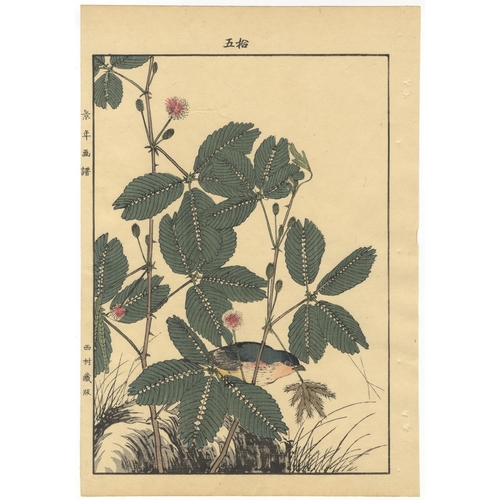 27 - Set of 2 prints:
Artist: Keinen Imao (1845-1924)
Title: Heron / Sensitive Plant and Blue Rock Thrush... 