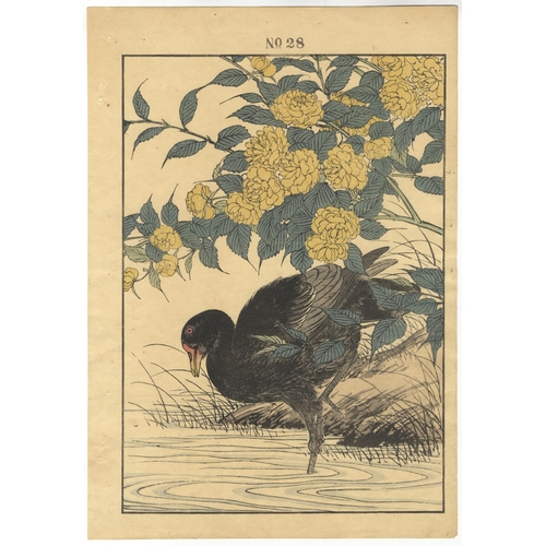 28 - Set of 3 prints:
Artist: Keinen Imao (1845-1924)
Title: The Japanese Yellow Rose and the Common Moor... 