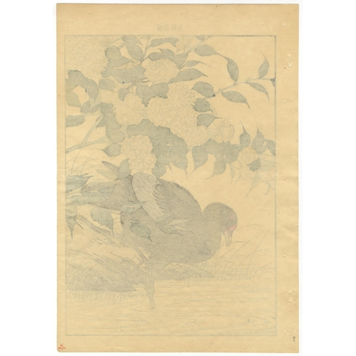 28 - Set of 3 prints:
Artist: Keinen Imao (1845-1924)
Title: The Japanese Yellow Rose and the Common Moor... 