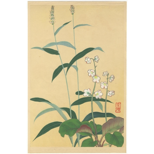 29 - Set of 2 prints:
Artist: Inoue Masaharu (active early 20th century)
Title: Persicaria bistorta and P... 