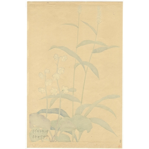 29 - Set of 2 prints:
Artist: Inoue Masaharu (active early 20th century)
Title: Persicaria bistorta and P... 