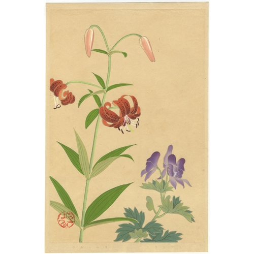 29 - Set of 2 prints:
Artist: Inoue Masaharu (active early 20th century)
Title: Persicaria bistorta and P... 