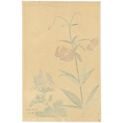 29 - Set of 2 prints:
Artist: Inoue Masaharu (active early 20th century)
Title: Persicaria bistorta and P... 