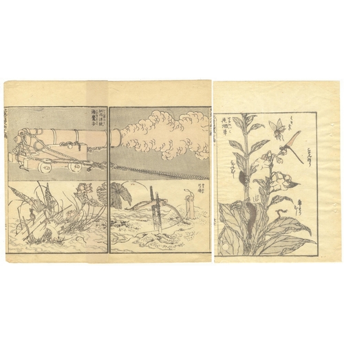 76 - Set of 2 prints:
Artist: Katsushika Hokusai
Title: War Artillery / Hokusai Manga - Insects
Series: H... 