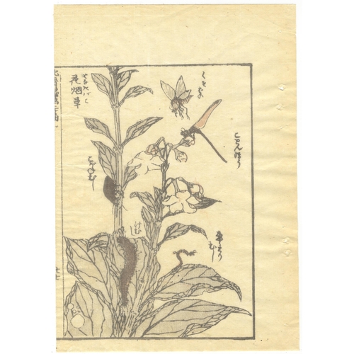 76 - Set of 2 prints:
Artist: Katsushika Hokusai
Title: War Artillery / Hokusai Manga - Insects
Series: H... 