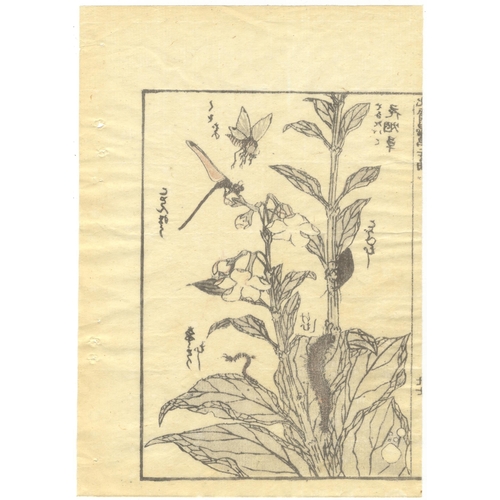 76 - Set of 2 prints:
Artist: Katsushika Hokusai
Title: War Artillery / Hokusai Manga - Insects
Series: H... 