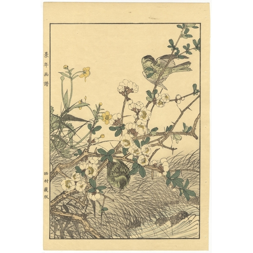 135 - Set of 2 prints:
Artist: Keinen Imao (1845-1924)
from Keinen's Album of the Birds and Flowers
Publis... 