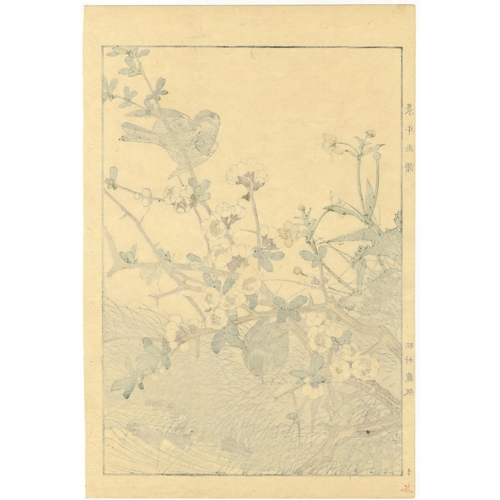 135 - Set of 2 prints:
Artist: Keinen Imao (1845-1924)
from Keinen's Album of the Birds and Flowers
Publis... 