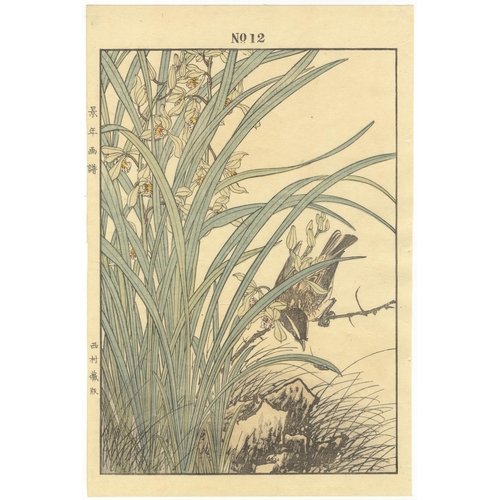 136 - Set of 3 prints:
Artist: Keinen Imao (1845-1924)
From Keinen's Album of the Birds and Flowers
Publis... 