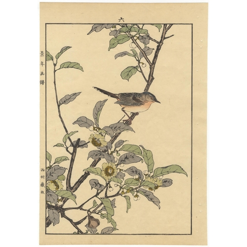 136 - Set of 3 prints:
Artist: Keinen Imao (1845-1924)
From Keinen's Album of the Birds and Flowers
Publis... 