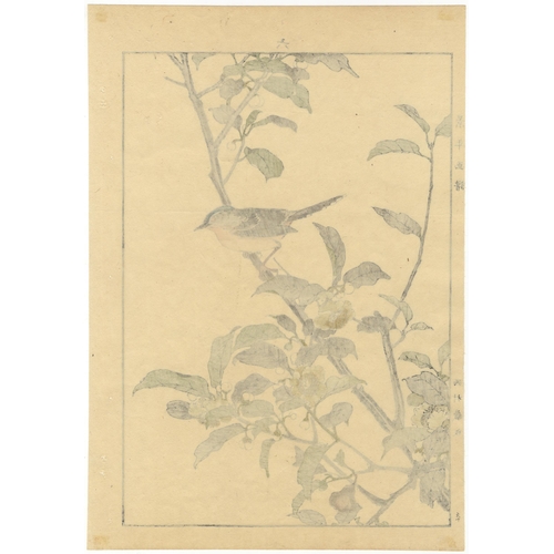 136 - Set of 3 prints:
Artist: Keinen Imao (1845-1924)
From Keinen's Album of the Birds and Flowers
Publis... 