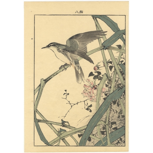 136 - Set of 3 prints:
Artist: Keinen Imao (1845-1924)
From Keinen's Album of the Birds and Flowers
Publis... 