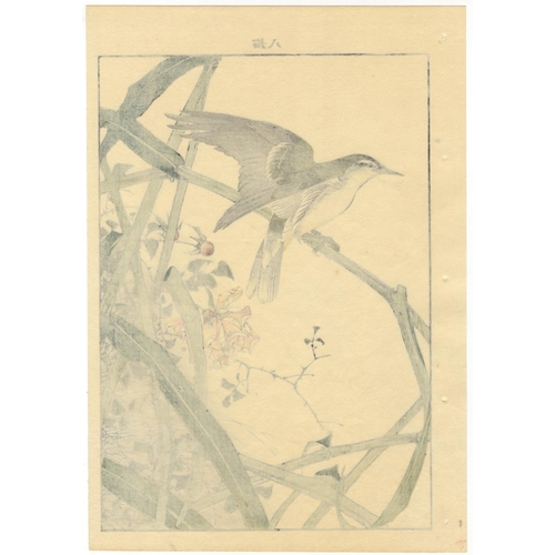 136 - Set of 3 prints:
Artist: Keinen Imao (1845-1924)
From Keinen's Album of the Birds and Flowers
Publis... 