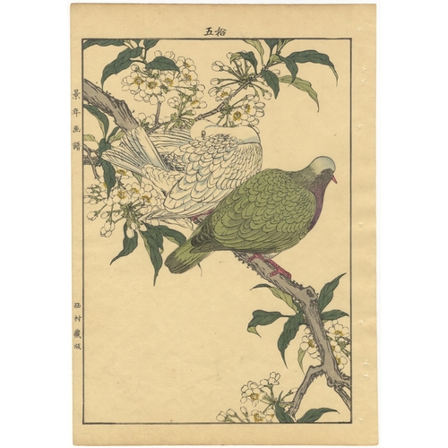 137 - Set of 3 prints:
Artist: Keinen Imao (1845-1924)
From Keinen's Album of the Birds and Flowers
Publis... 