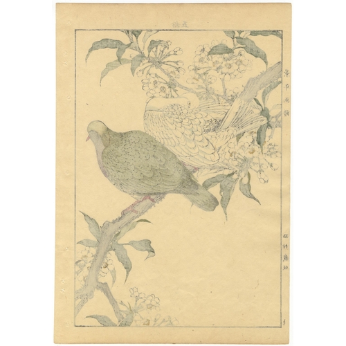 137 - Set of 3 prints:
Artist: Keinen Imao (1845-1924)
From Keinen's Album of the Birds and Flowers
Publis... 