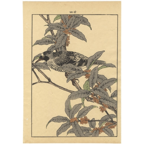 137 - Set of 3 prints:
Artist: Keinen Imao (1845-1924)
From Keinen's Album of the Birds and Flowers
Publis... 