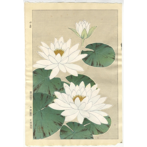 146 - Set of 2 prints:
Artist: Shodo Kawarazaki (1889-1973)
Title: Water Lily / Bush Clover
Publisher: Uns... 