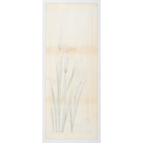 153 - Artist: Mokuchu Urushibara (1888-1953)
Title: Iris
Date: early 20th century
Edition: 30/60
Size: 51.... 