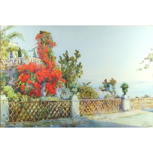 96 - Ella Du Cane (1874-1943), “Bougainvillea, Algiers”, signed, watercolour, 29.5 x 44.5cm