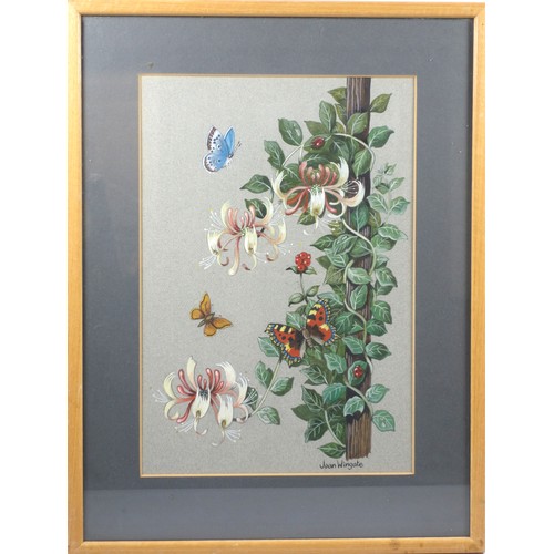 228 - Joan Wingate, two floral studies, honeysuckle with butterflies, 22 x 32 cm and a floral arrangement ... 