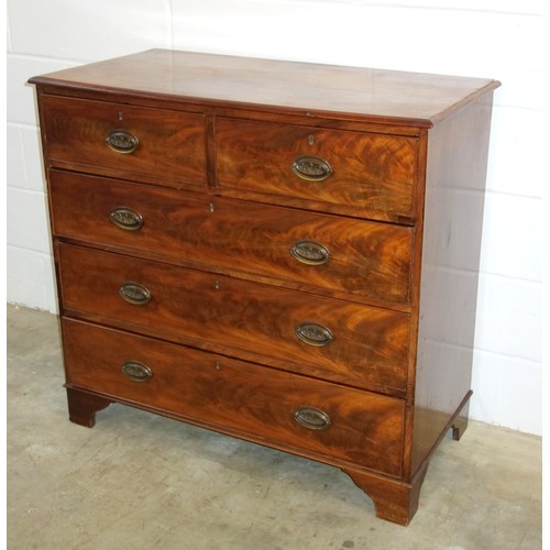 261 - George III mahogany chest, two short, three long drawers on bracket feet, H. 99 cm, W. 106 cm, D. 52... 