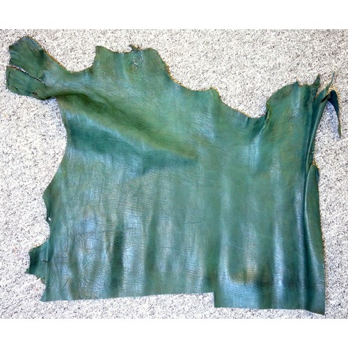 91 - 2 goat skins, largest 80 x 81.5cm overall; 4 part skins, largest 95.5 x 61.5cm, and a quantity of of... 