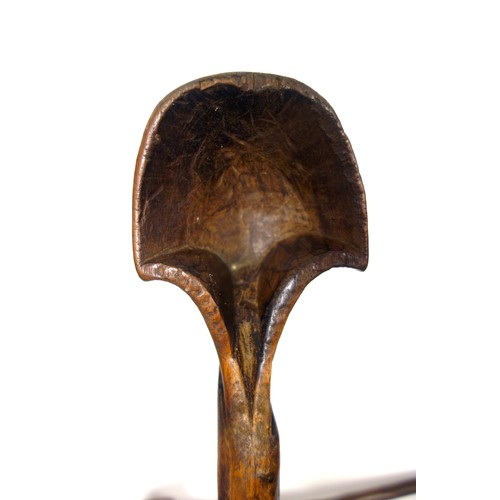 110 - Two similar large African hardwood tribal spoons, 52cm and 52.8cm respectively (2)