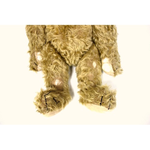 131 - Large Mohair Teddy Bear, with back hump, and growler (working but hesitant), some splits, H. 55 excl... 