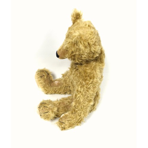 131 - Large Mohair Teddy Bear, with back hump, and growler (working but hesitant), some splits, H. 55 excl... 