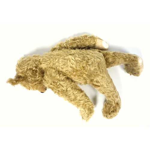 131 - Large Mohair Teddy Bear, with back hump, and growler (working but hesitant), some splits, H. 55 excl... 