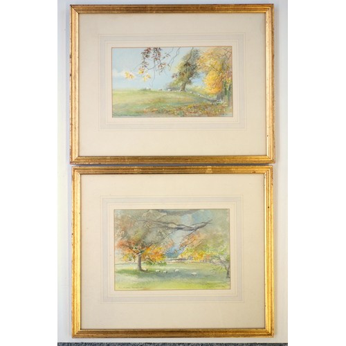 77 - Carolyn Piets, near pair of watercolours titled 'Pembridge, Herefordshire', watercolour, titled sign... 