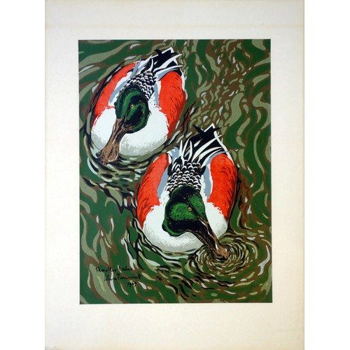 131 - John Tennent (British, b.1926), pair of limited edition prints, 'Shoreller Drakes' and 'Shelduck', e... 