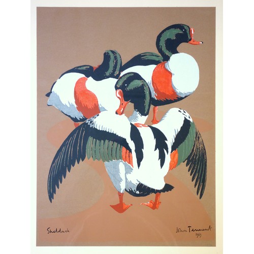 131 - John Tennent (British, b.1926), pair of limited edition prints, 'Shoreller Drakes' and 'Shelduck', e... 