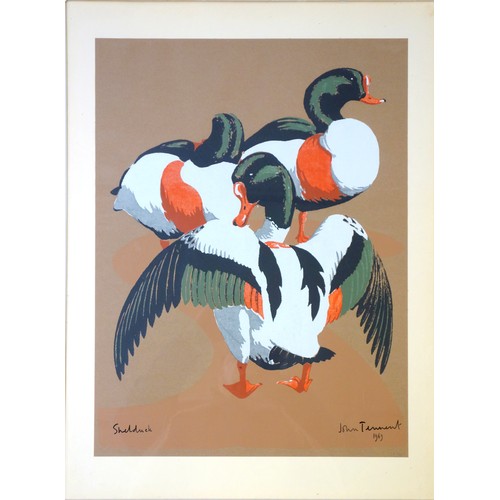 131 - John Tennent (British, b.1926), pair of limited edition prints, 'Shoreller Drakes' and 'Shelduck', e... 