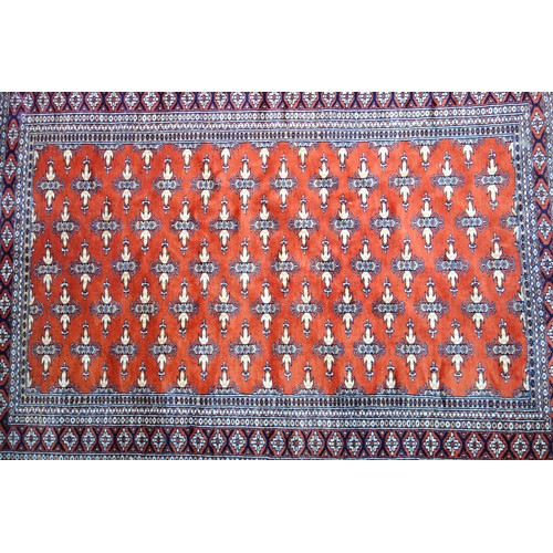 241 - Pakistani Bokhara rug, the terracotta field with 5 full rows of Chemche guls, within a geometric ros... 