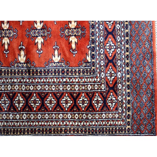 241 - Pakistani Bokhara rug, the terracotta field with 5 full rows of Chemche guls, within a geometric ros... 