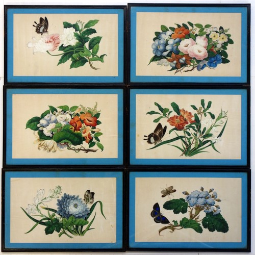 714 - Six Chinese pith paintings depicting butterflies and flowers, 19th century, framed, each frame 24 x ... 