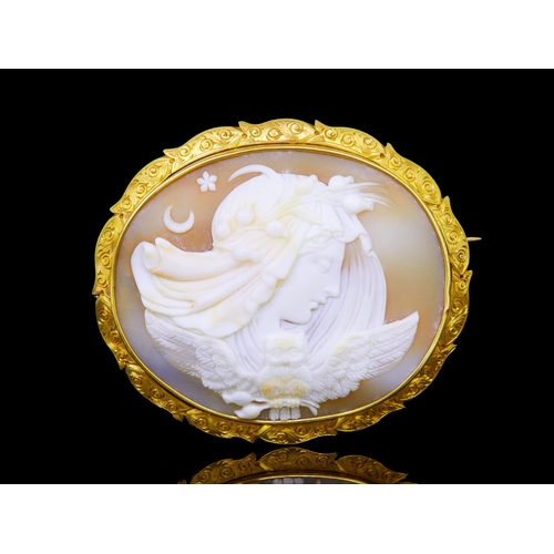 11 - ANTIQUE VICTORIAN SHELL CAMEO BROOCH, depicting a womans head in profile above an owl with spread wi... 