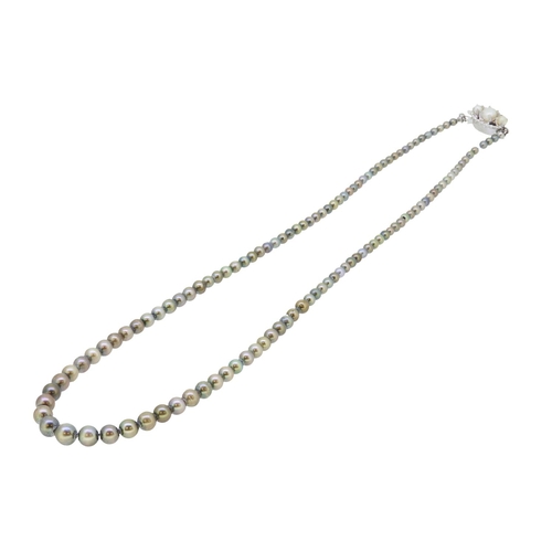 29 - NATURAL PEARL NECKLACE, of graduated design, pearls approx. 2.45 - 5.8 mm. L. 42 cm. 10.1 grams. Acc... 