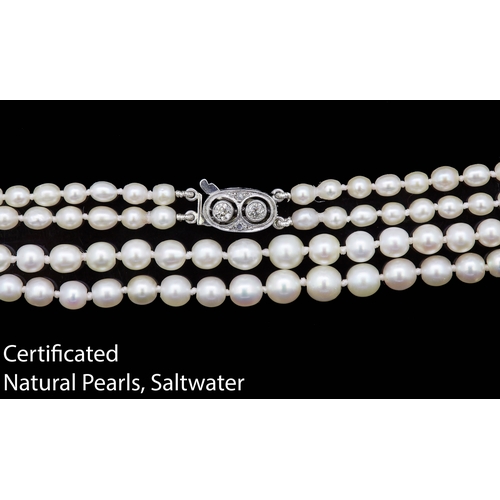 32 - IMPORTANT CERTIFICATED NATURAL SALTWATER PEARL DOUBLE ROW NECKLACE, set with 177 graduated pearls, a... 