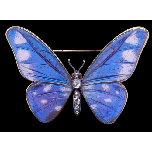 249 - RARE ANTIQUE BUTTERFLY WING BROOCH, the butterfly set with diamonds to the body and ruby eyes. The w... 