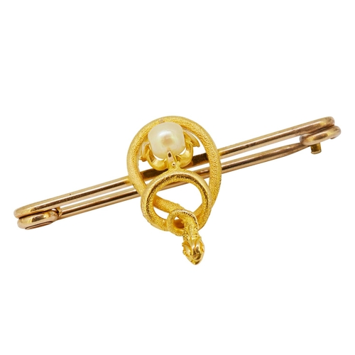 251 - ANTIQUE PEARL AND SNAKE BROOCH, in precious yellow metal. designed as a curled up snake on a bar, ho... 